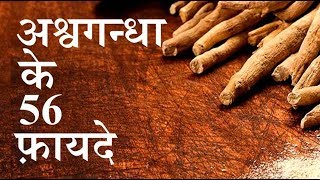 अश्‍वगंधा के 56 फ़ायदे  56 SUPER benefits of Ashwagandha by puneet biseria [upl. by Olumor437]