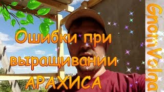 Ошибки при выращивании арахиса [upl. by Devad983]