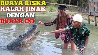 APAKAH BUAYA RISKA KALAH JINAK DENGAN BUAYA INI [upl. by Siclari]