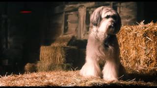 Pudsey το Σκυλάκι Η Ταινία Pudsey the Dog The Movie  Trailer Greek subs [upl. by Capello]