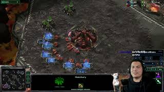 StarCraft 2 Zerg vs Protoss Zerg crimes [upl. by Ferguson]