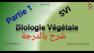 Biologies végétles s2 partie 1 thallophyte  cormophyte شرح بالدرجة [upl. by Cliffes]