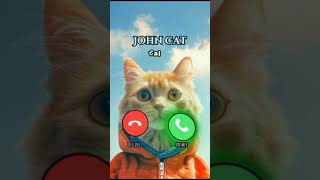 Joint cat new callringtne ringtone cat [upl. by Eenehs]