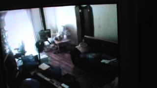 Alarm Camera and Door Video 2 [upl. by Padget]