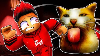 Jangan Bela Kucing Oyen Ini Sebabnya Roblox Malaysia [upl. by Brinkema922]