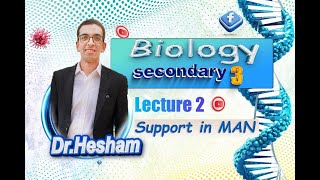 lecture 2  support in man  skeleton biology sec 3  20242025 [upl. by Mcnamee]