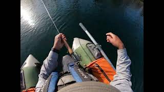 Fly fishing a stocked lake from a float tube  Rainbow Trout Ontario  May 2022 [upl. by Mooney]