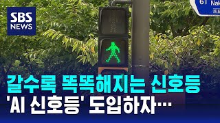 갈수록 똑똑해지는 신호등…AI 신호등 도입하자  SBS [upl. by Skolnik876]