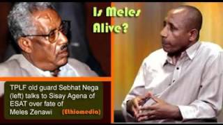 Sebhat Nega on fate of Meles Zenawi [upl. by Prem]