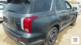 Hyundai Palisade 2023  VIN KMHR381C3PU533173 [upl. by Haerr]