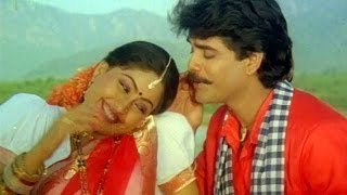 Janaki Ramudu Songs  Chilaka Pachha Thotalo  Nagarjuna  Vijaya Shanthi [upl. by Schouten]