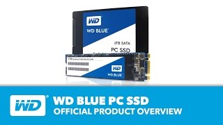 WD Blue SSD  Official Product Overview [upl. by Boru575]