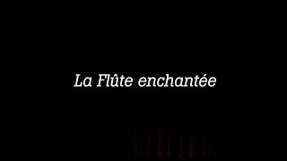 La flûte enchantée [upl. by Jonis]