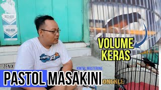 Pastol masakini volume keras🔥murai batu ZENIX kintul mastering [upl. by Perseus]