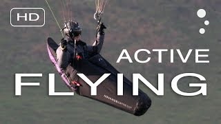 Paraglider Control How To Improve Your Active Flying [upl. by Cotter]