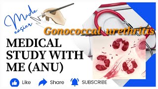 Gonococcal urethritisurogenital tract infection microbiology malayalam gonococcal urethritis [upl. by Christye]