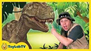 TRex Giant Life Size Dinosaur amp Park Ranger Aaron with Dinosaur Surprise Toys Opening [upl. by Bethina]