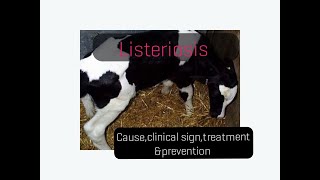 Listeriosis in cattle causeclinical signstreatmentprevention [upl. by Eimas]