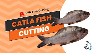 You Wont Believe This Giant Catla Fish Cutting Hack [upl. by Arinay]