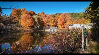 Walking Through Warkworth Ontario [upl. by Chatterjee]