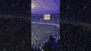 Fääääään Gesang im Olympiastadion Berlin [upl. by Xuagram]