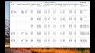 Exif Video Rresolved DR demo for Mac  How to import exif data to Davinci Resolve [upl. by Kristan]