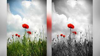 Photoshop Tutorial  Spot Color BampW [upl. by Stephenie]