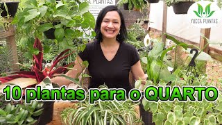 10 Plantas para o QUARTO [upl. by Gaspar332]