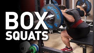 How To Box Squat Our Form vs Westside Barbell  Programming [upl. by Ecyle]