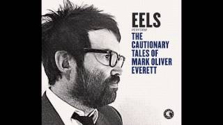 EELS  Parallels audio stream [upl. by Robaina445]