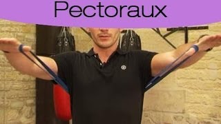 Tonifier ses pectoraux [upl. by Nnyltak]