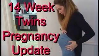 14 Week Twins Pregnancy Update [upl. by Bohlin]