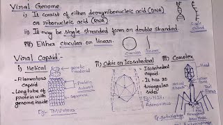 Viruses General features Replication Reproduction Lytic and Lysogenic Life Cycle  BSc Botany [upl. by Haimorej]