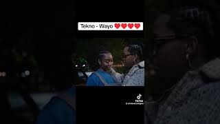 Tekno  Wayo Official lyrics Video [upl. by Anned]