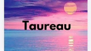 TAUREAU NOVEMBRE 2024 [upl. by Aloise65]