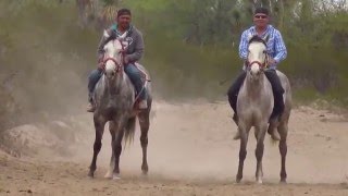 Carreras de Caballos  quotEl Cadetequot Grupo Laberinto [upl. by Eenerb468]