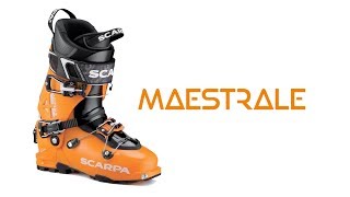 SCARPA Maestrale Ski Boots [upl. by Adnalay354]