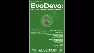 EVO  DEVO Evolución Diferenciación y desarrollo Mesas redondas [upl. by Leonore]