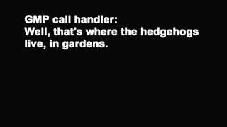 999 Call  Hedgehog in my Garden [upl. by Alegnad]