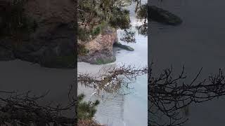 Mendocino California Headlands [upl. by Elokcin]