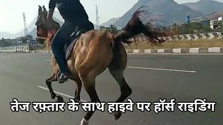 Horse Riding On Road  Horse Running Sound Effect  Very Fast Horse Riding  Sound Of Horse Negging [upl. by Groark557]