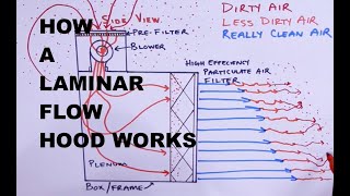 How and Why a Laminar Flow Hood Works  Prevent Contamination for Cultivating Mushrooms at Home [upl. by Bartlet394]