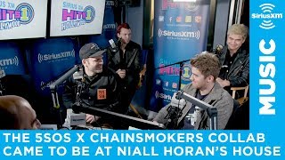 Niall Horan is responsible for the 5SOS Chainsmokers collaboration [upl. by Aivirt871]