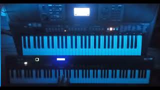 Rammstein  Asche Zu Asche Keyboard Cover [upl. by Elay]