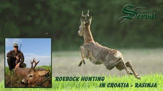 Roebock hunting in Croatia  Rasinja  Rehbockjagd in Kroatien [upl. by Eniamerej]