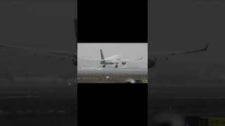 Delta A330 landing at Frankfurt Airport aviation frankfurtairport planespotting avgeek airport [upl. by Lutero]