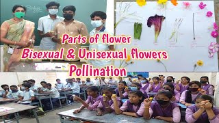 Parts of flower  Bisexual and Unisexual flowers  Pollination  10th class Biology [upl. by Ahsirkal967]