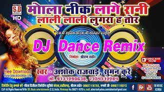 Cg Dj Remix Mola Nik Lage Rani Lali Lali Lugra Ha मोला नीक लागे रानी लाली लाली लुगरा Ashok Rajwade [upl. by Erica133]