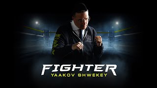 SHWEKEY  Fighter Lyric Video [upl. by Kimon286]