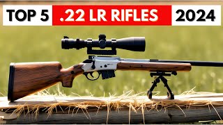 Top 5 BEST 22 LR Rifles In 2024 [upl. by Lanna501]